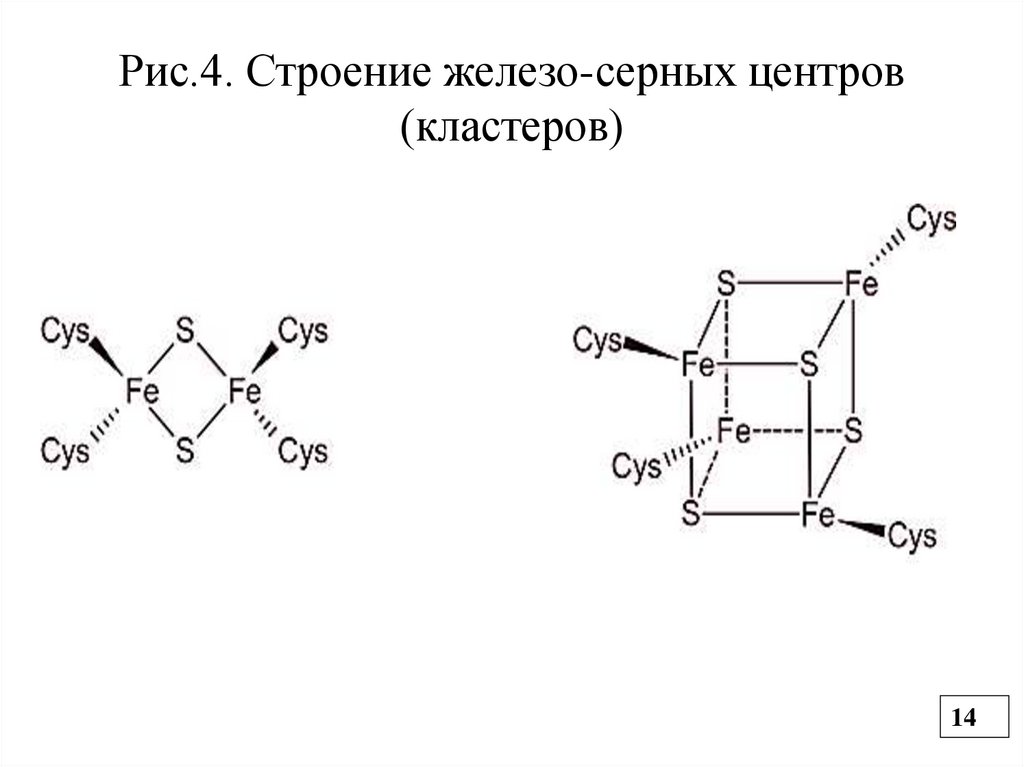 Рис.4. Строение железо-серных центров (кластеров)