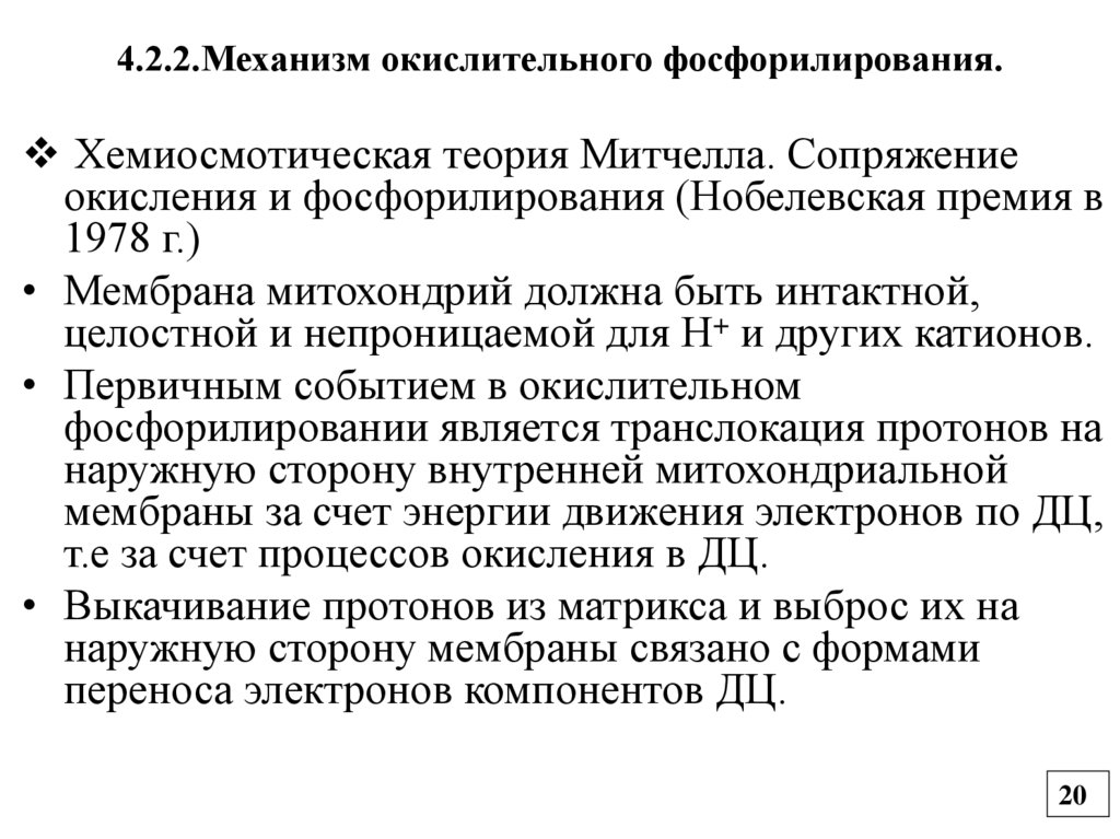 4.2.2.Механизм окислительного фосфорилирования.