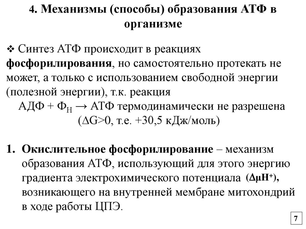 4. Механизмы (способы) образования АТФ в организме