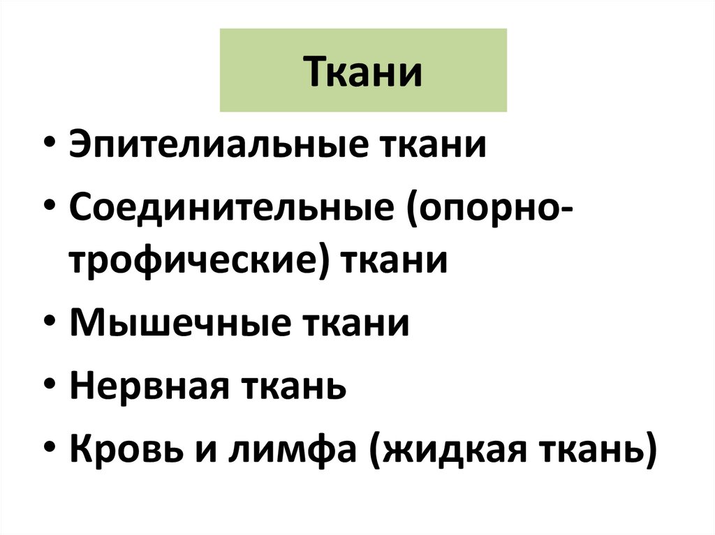 Ткани