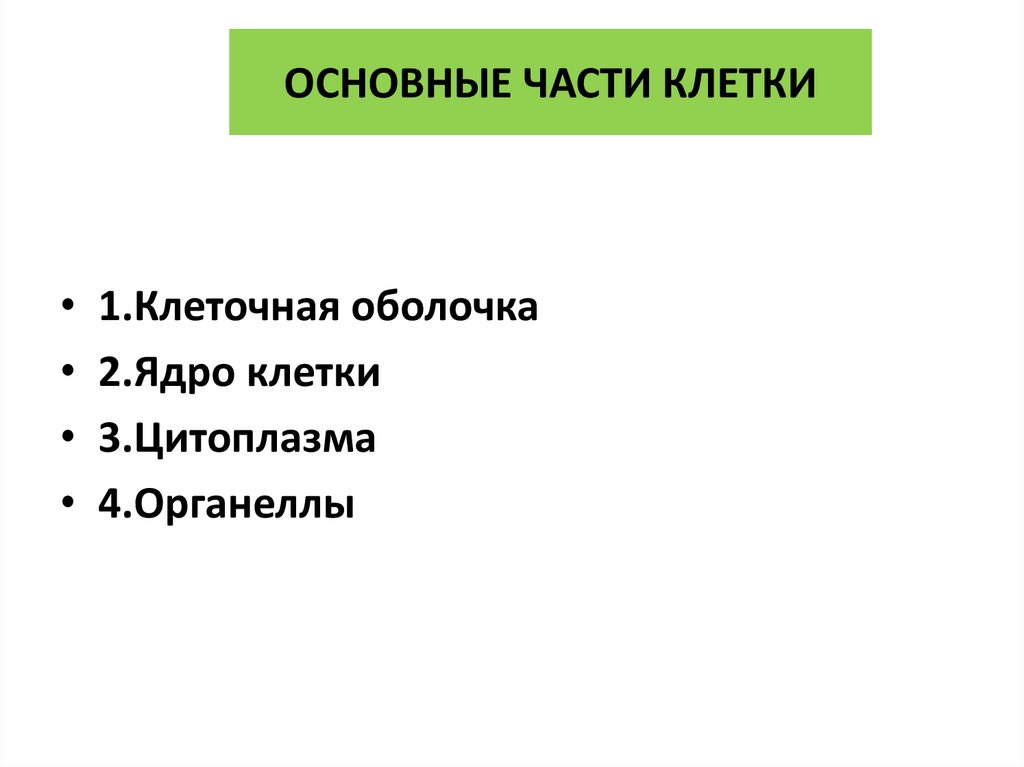ОСНОВНЫЕ ЧАСТИ КЛЕТКИ