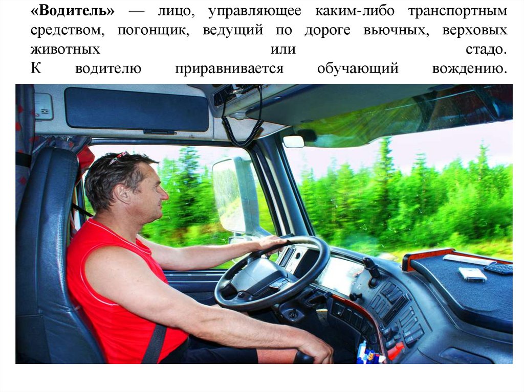 «Водитель» — лицо, управляющее каким-либо транспортным средством, погонщик, ведущий по дороге вьючных, верховых животных или