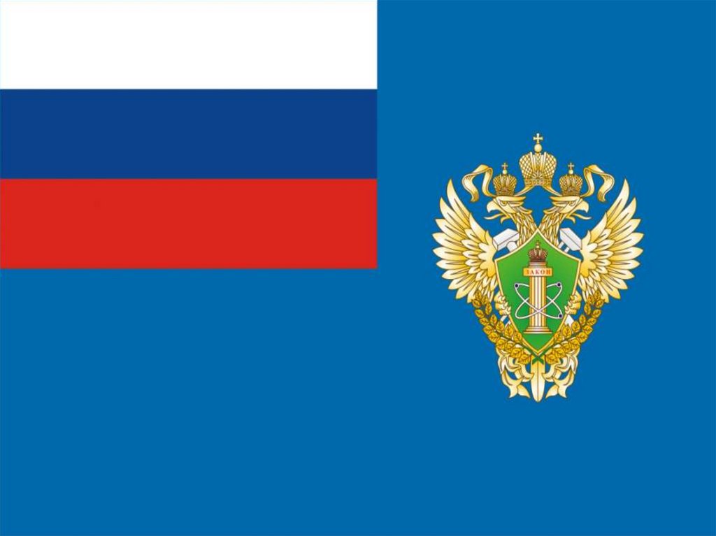 ФЕДЕРАЛЬНАЯ СЛУЖБА ПО ЭКОЛОГИЧЕСКОМУ, ТЕХНОЛОГИЧЕСКОМУ И АТОМНОМУ НАДЗОРУ (РОСТЕХНАДЗОР)