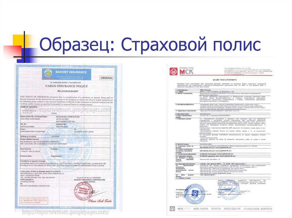 Образец: Страховой полис