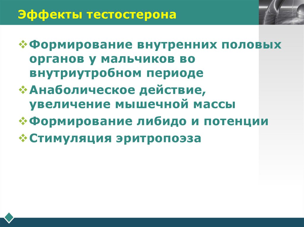 Эффекты тестостерона