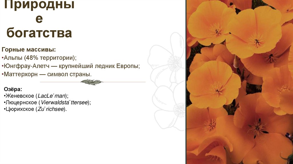 Природные богатства