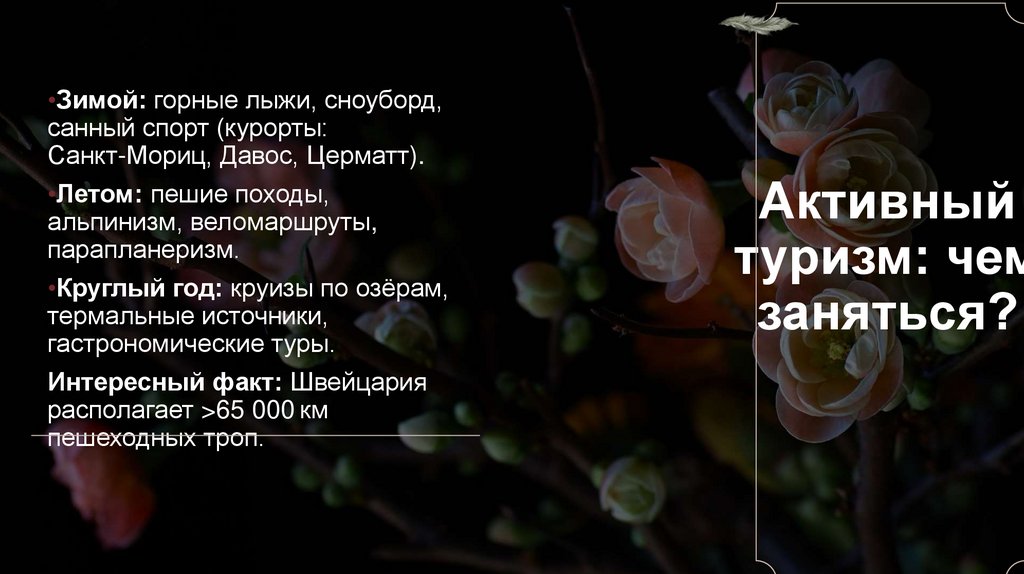 Активный туризм: чем заняться?