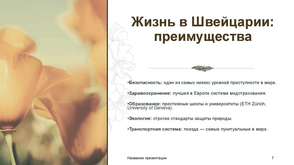 Жизнь в Швейцарии: преимущества