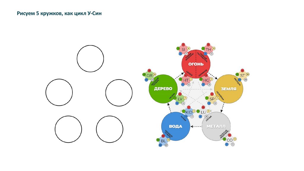 Рисуем 5 кружков, как цикл У-Син