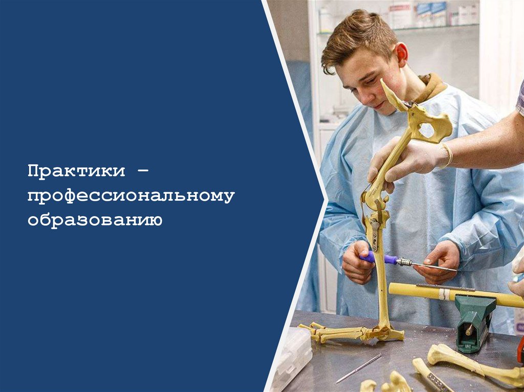 Практики – профессиональному образованию.