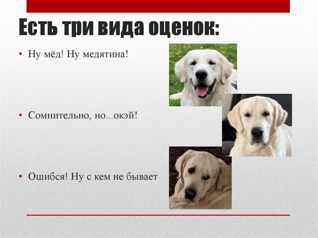 Есть три вида оценок: