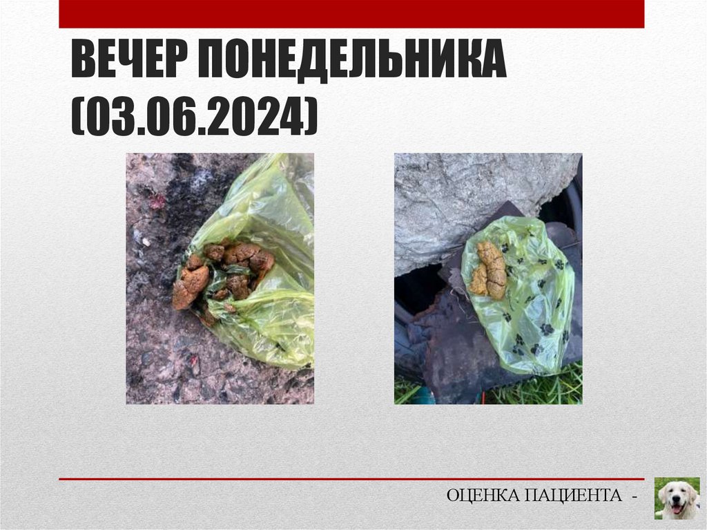 ВЕЧЕР ПОНЕДЕЛЬНИКА (03.06.2024)