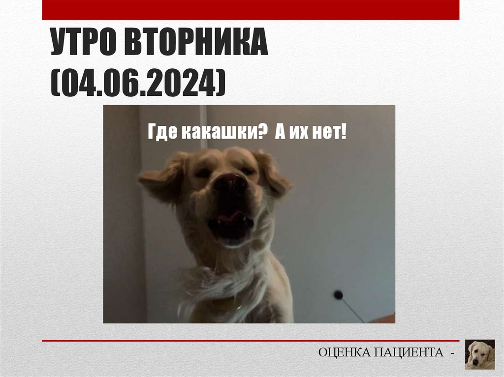 УТРО ВТОРНИКА (04.06.2024)