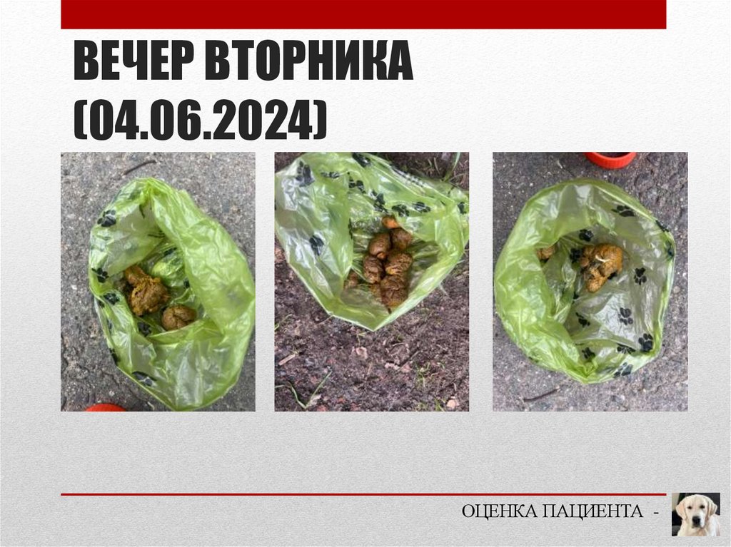 ВЕЧЕР ВТОРНИКА (04.06.2024)