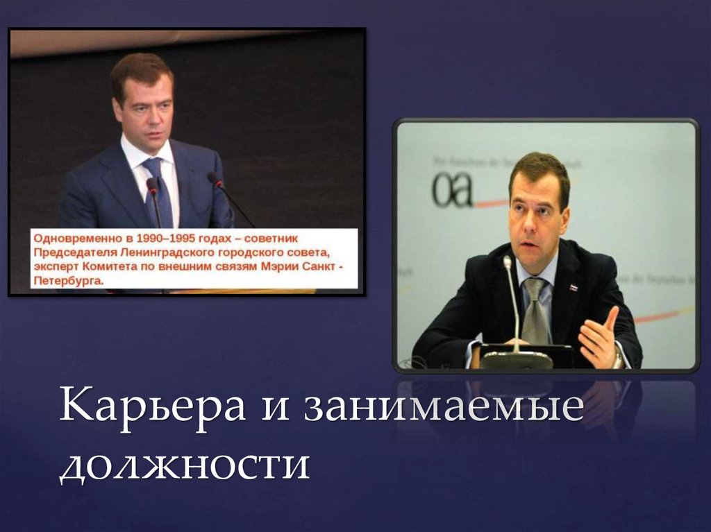 Карьера и занимаемые должности