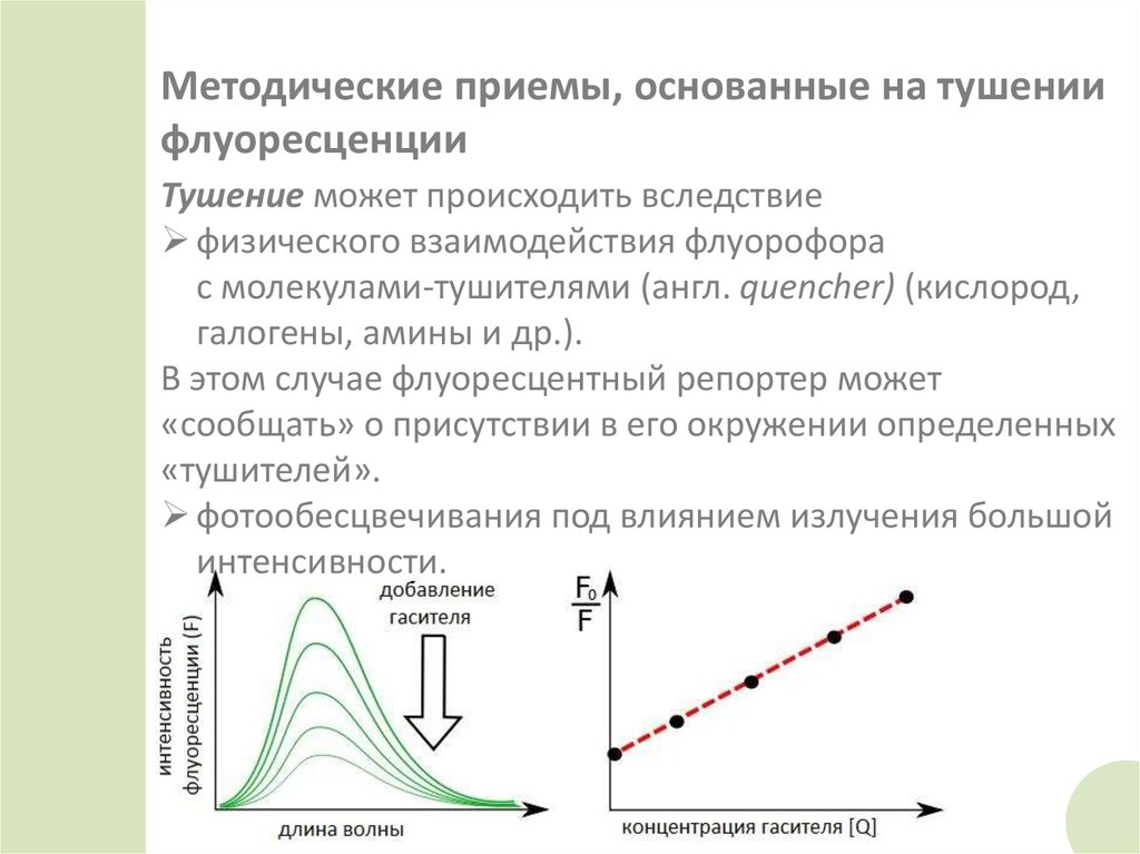 Методические приемы, основанные на тушении флуоресценции