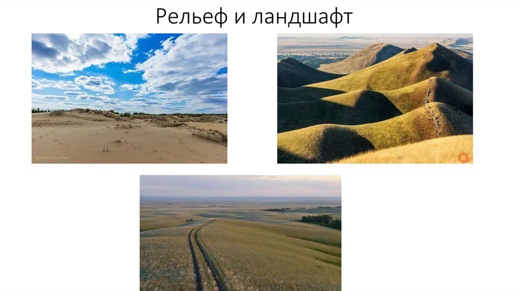 Рельеф и ландшафт