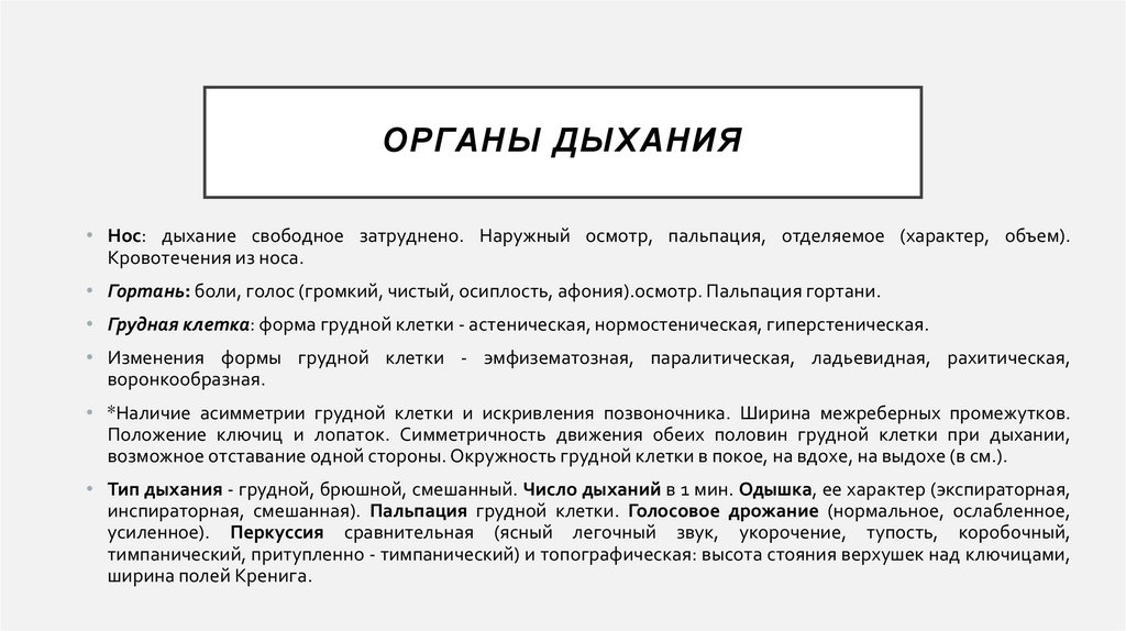 Органы дыхания