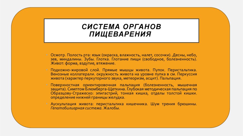Система органов пищеварения 