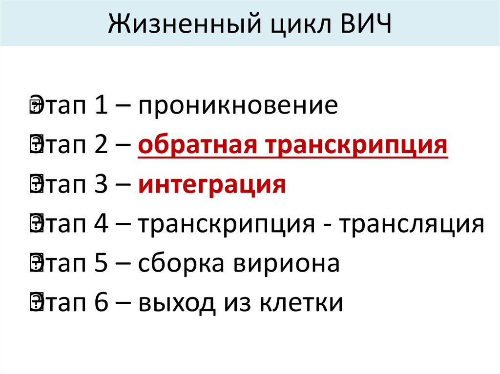 Жизненный цикл ВИЧ