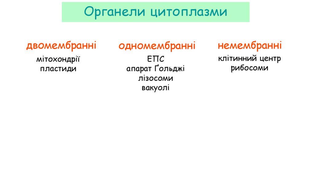 Органели цитоплазми