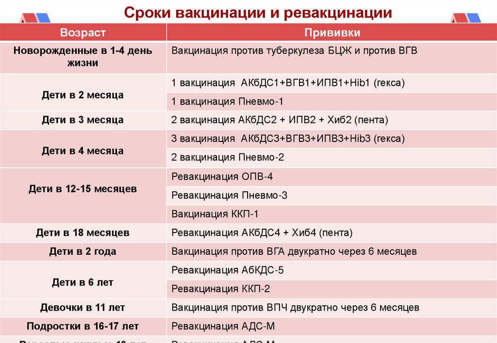 Сроки вакцинации и ревакцинации