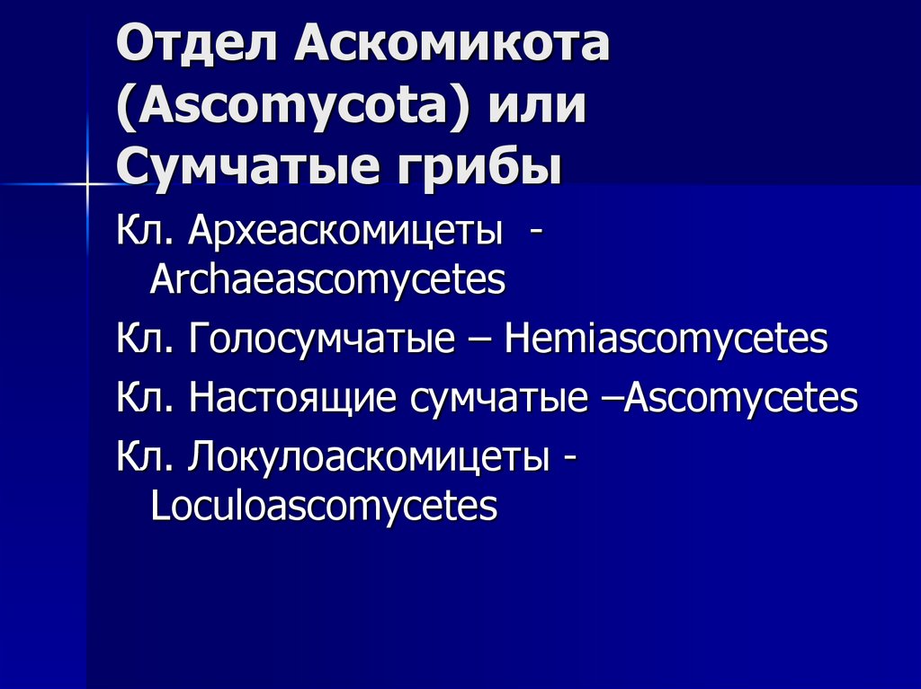 Отдел Аскомикота (Ascomycota) или Сумчатые грибы