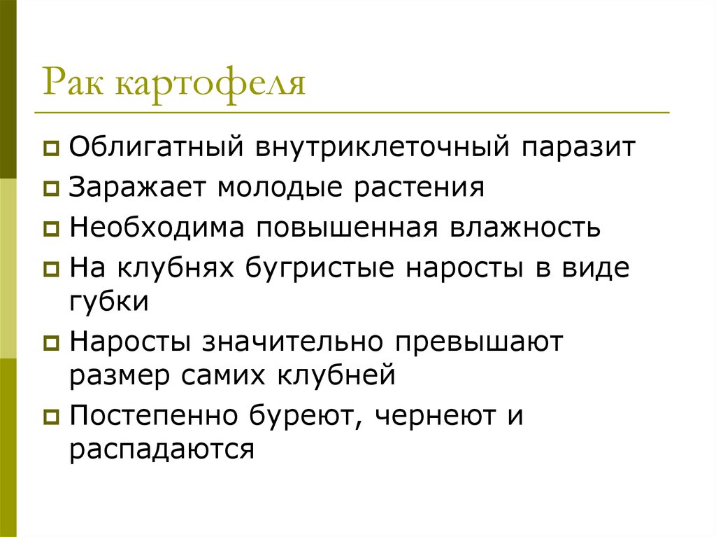 Рак картофеля