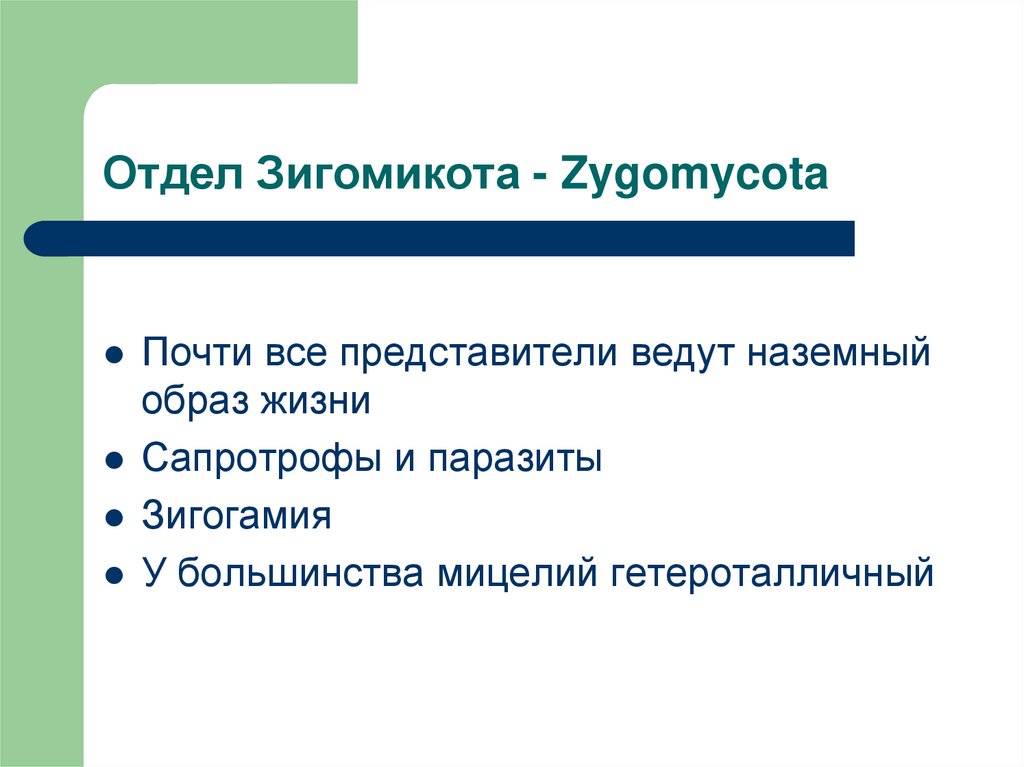 Отдел Зигомикота - Zygomycota