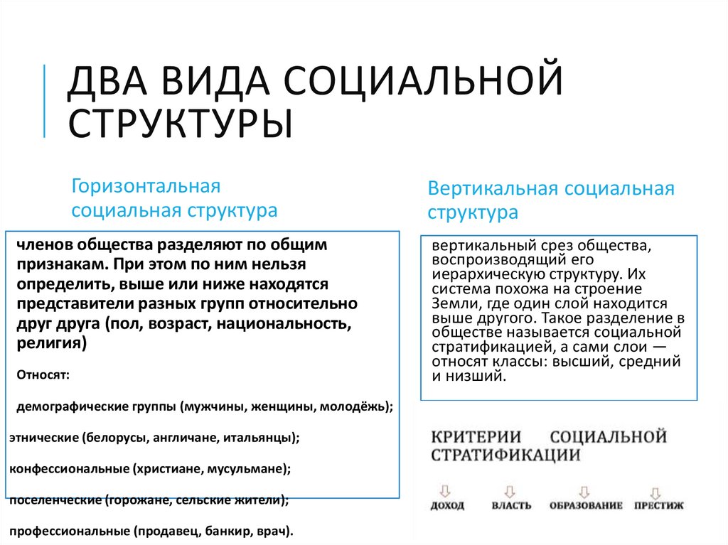 два вида социальной структуры