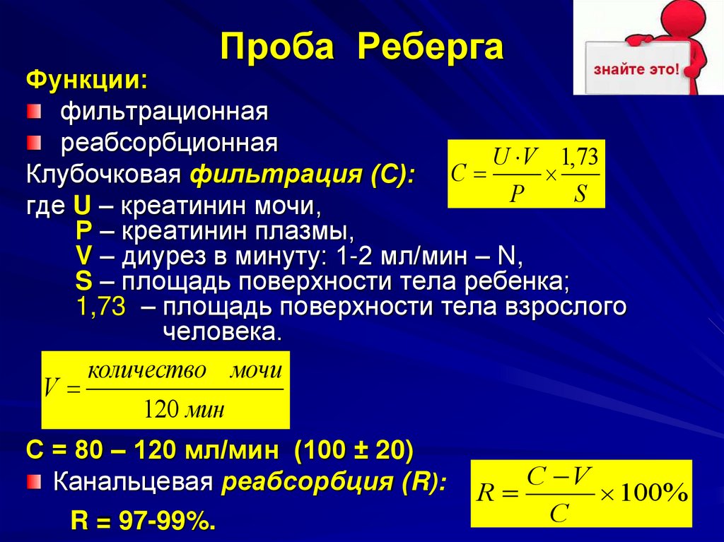 Проба Реберга