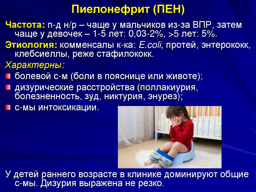 Пиелонефрит (ПЕН)