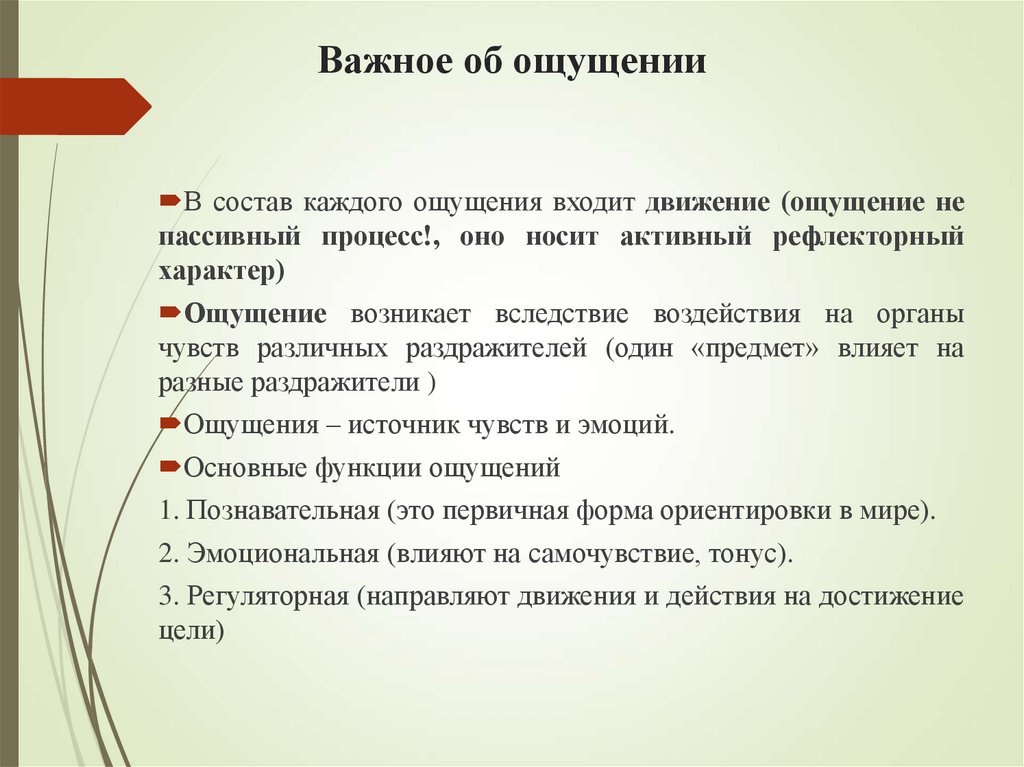 Важное об ощущении