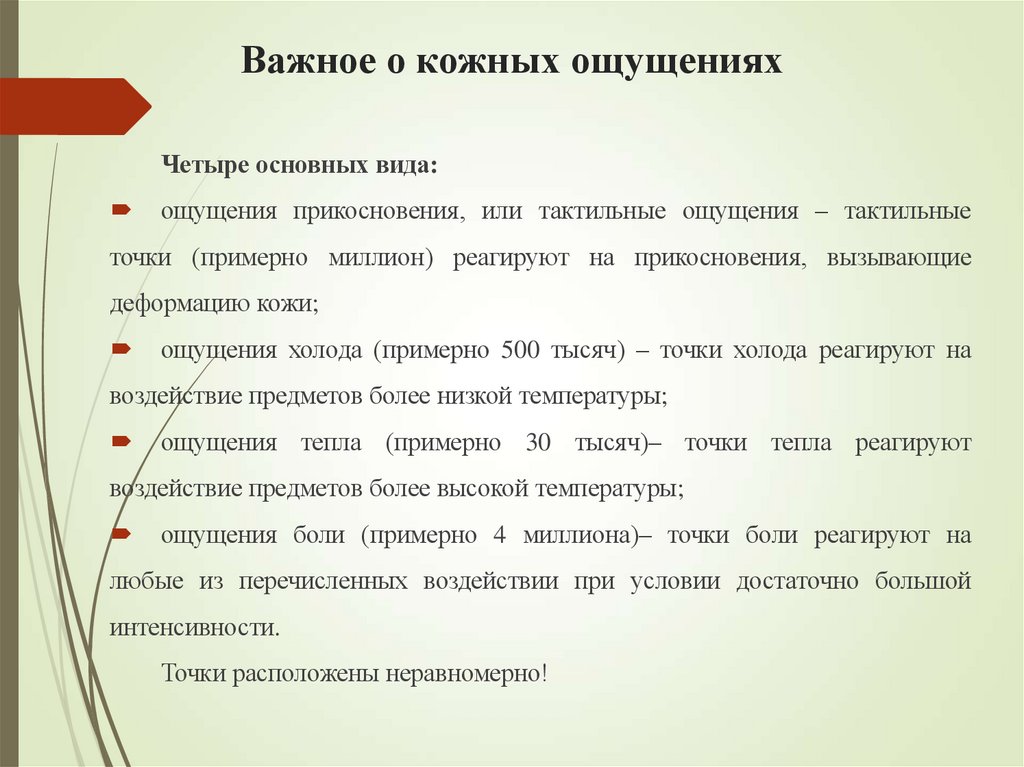 Важное о кожных ощущениях