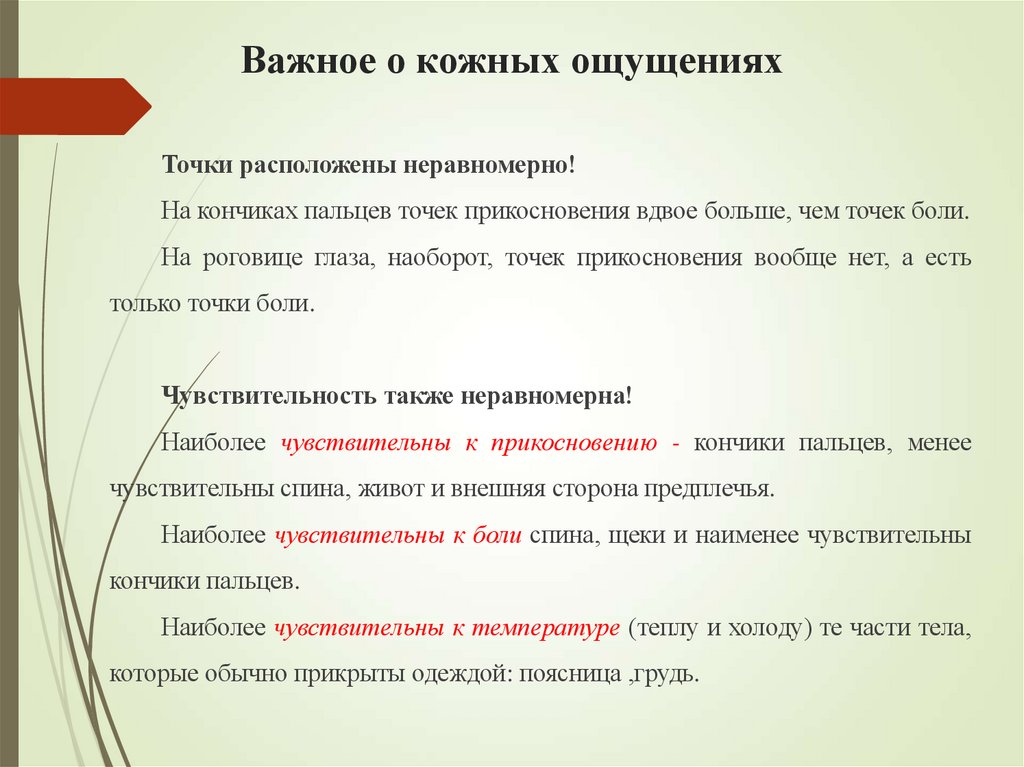 Важное о кожных ощущениях