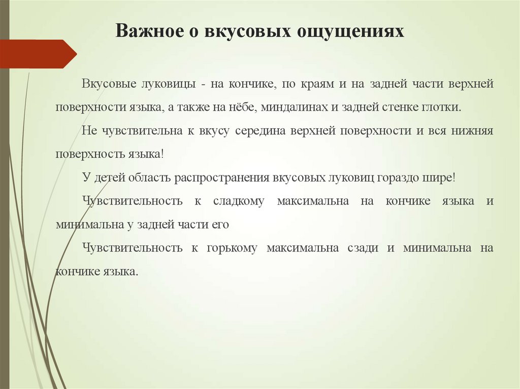 Важное о вкусовых ощущениях