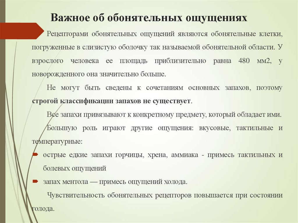 Важное об обонятельных ощущениях