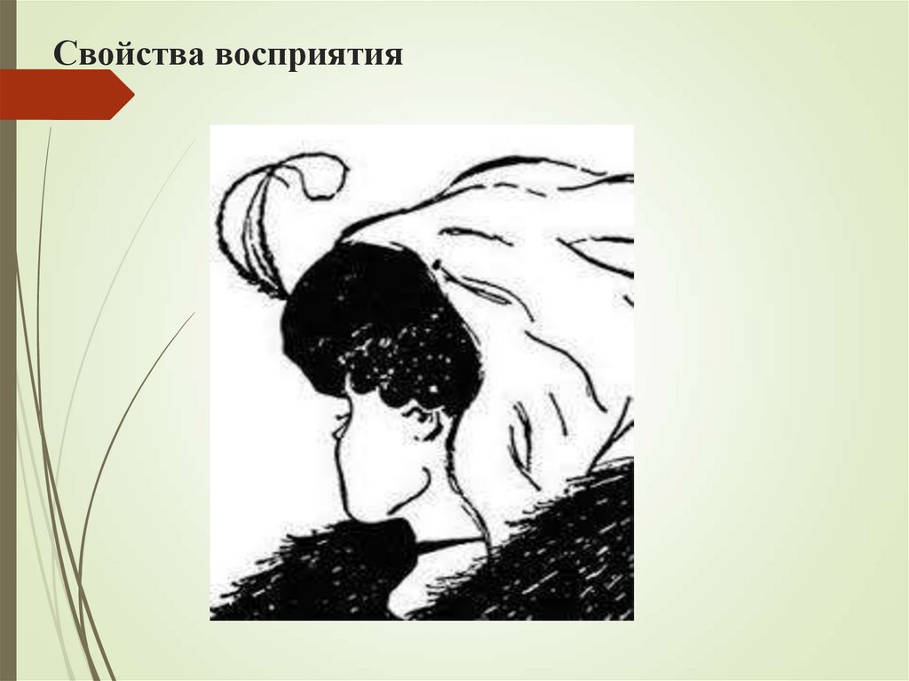 Свойства восприятия