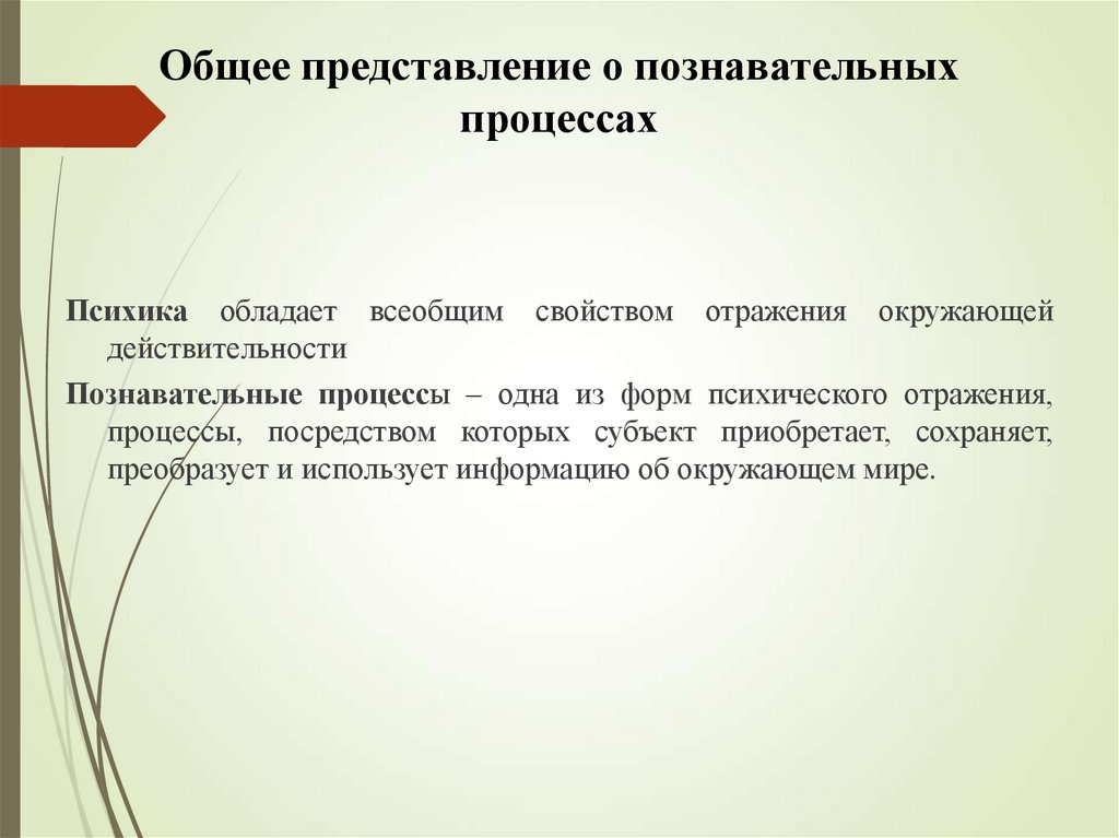 Общее представление о познавательных процессах