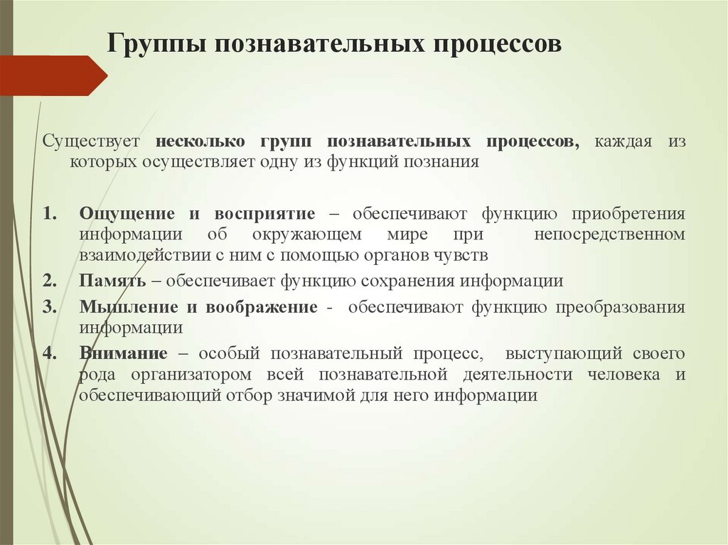 Группы познавательных процессов