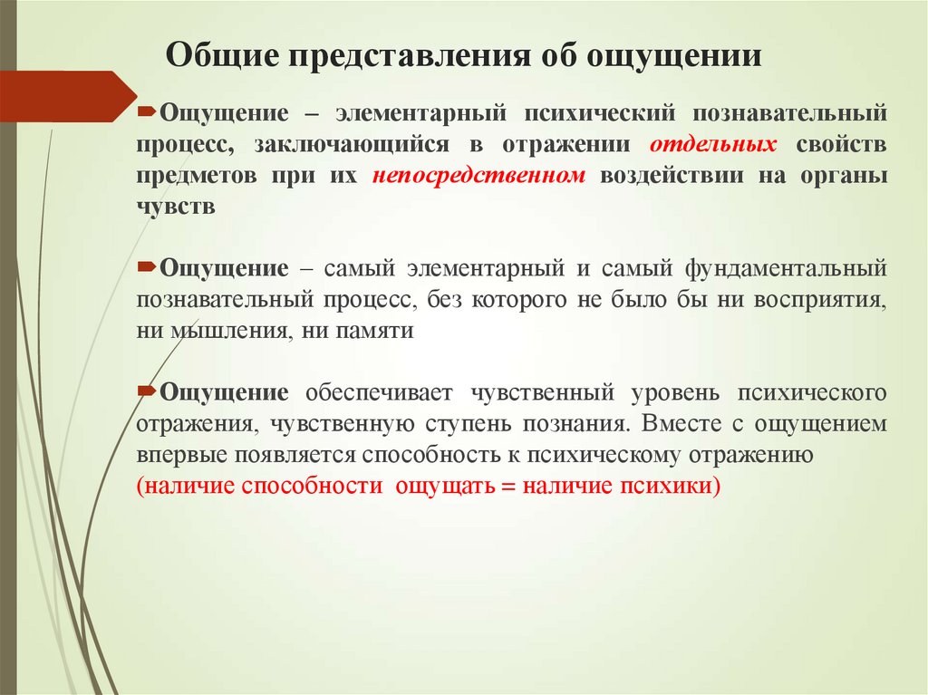 Общие представления об ощущении