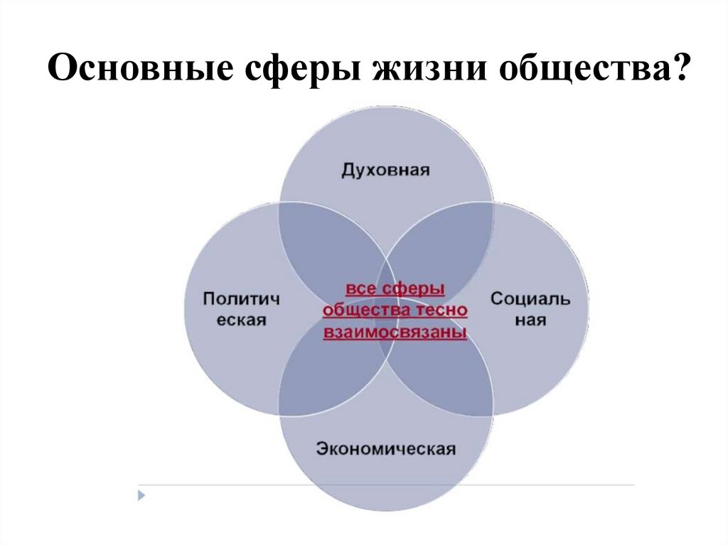 Основные сферы жизни общества?