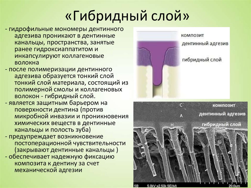 «Гибридный слой»