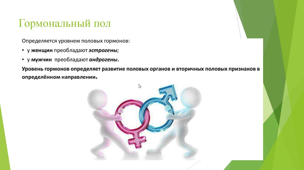 Гормональный пол