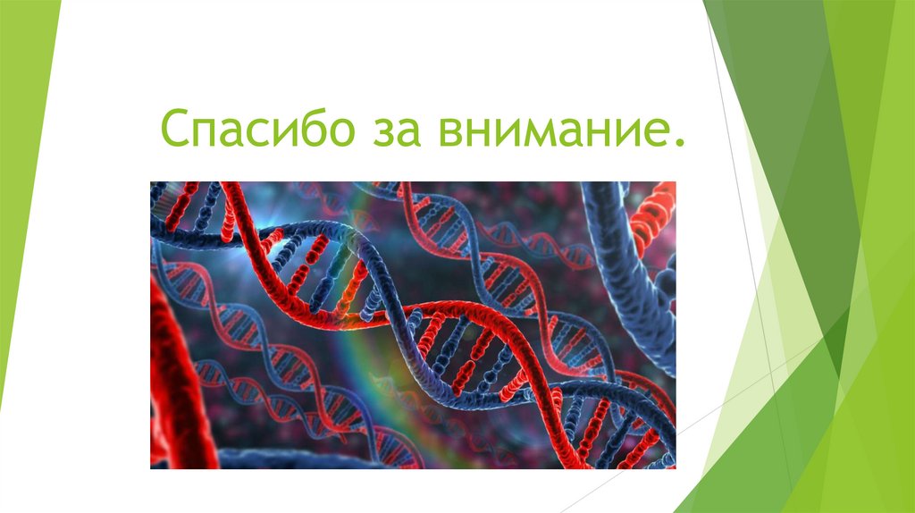 Спасибо за внимание.