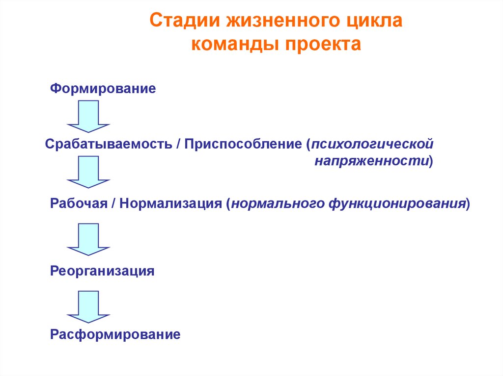 Стадии жизненного цикла команды проекта
