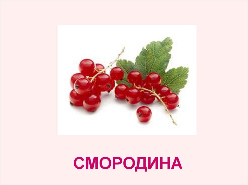 СМОРОДИНА