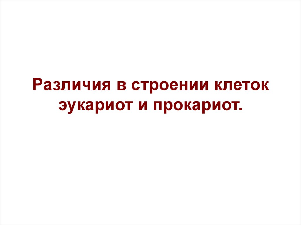 Различия в строении клеток эукариот и прокариот.