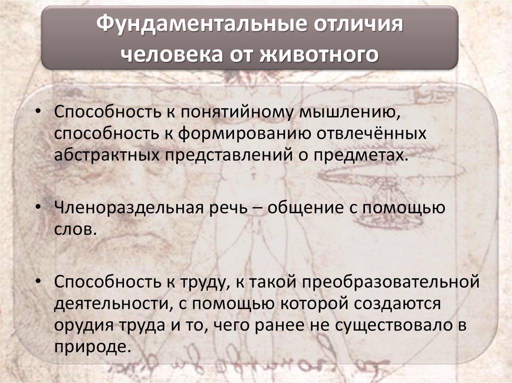 Фундаментальные отличия человека от животного