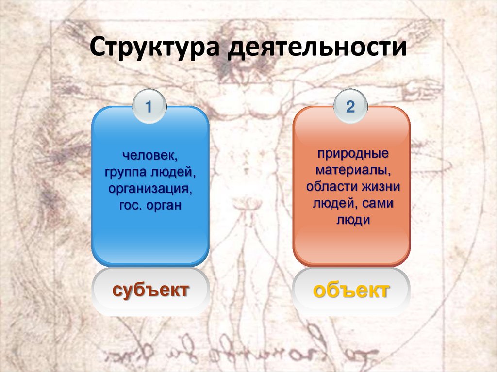 Структура деятельности